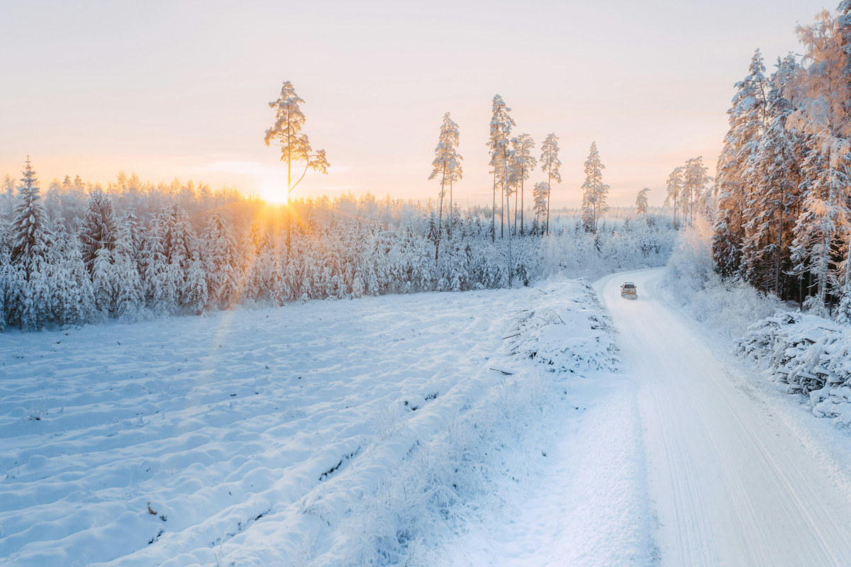 Paissatge nevat Paissatge nevat